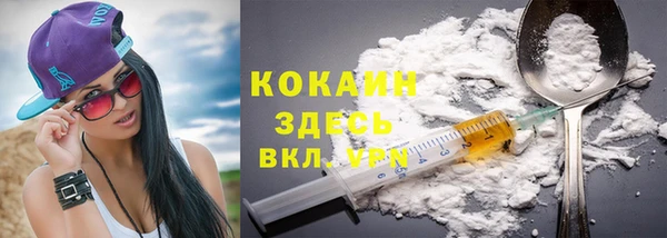 твердый Богданович