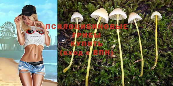 твердый Богданович
