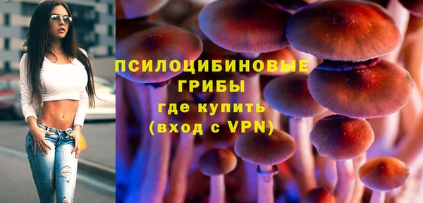 a pvp Богородицк