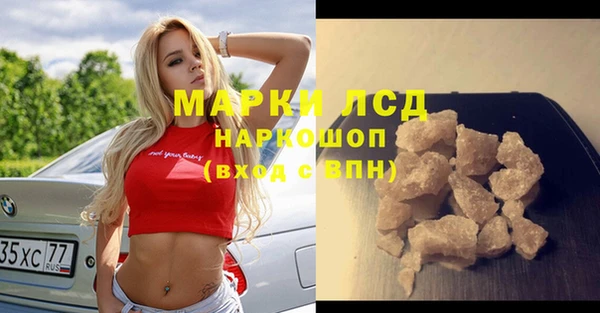 твердый Богданович