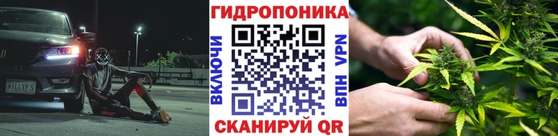 darknet официальный сайт где купить наркоту Люберцы Канабис Bruce Banner
